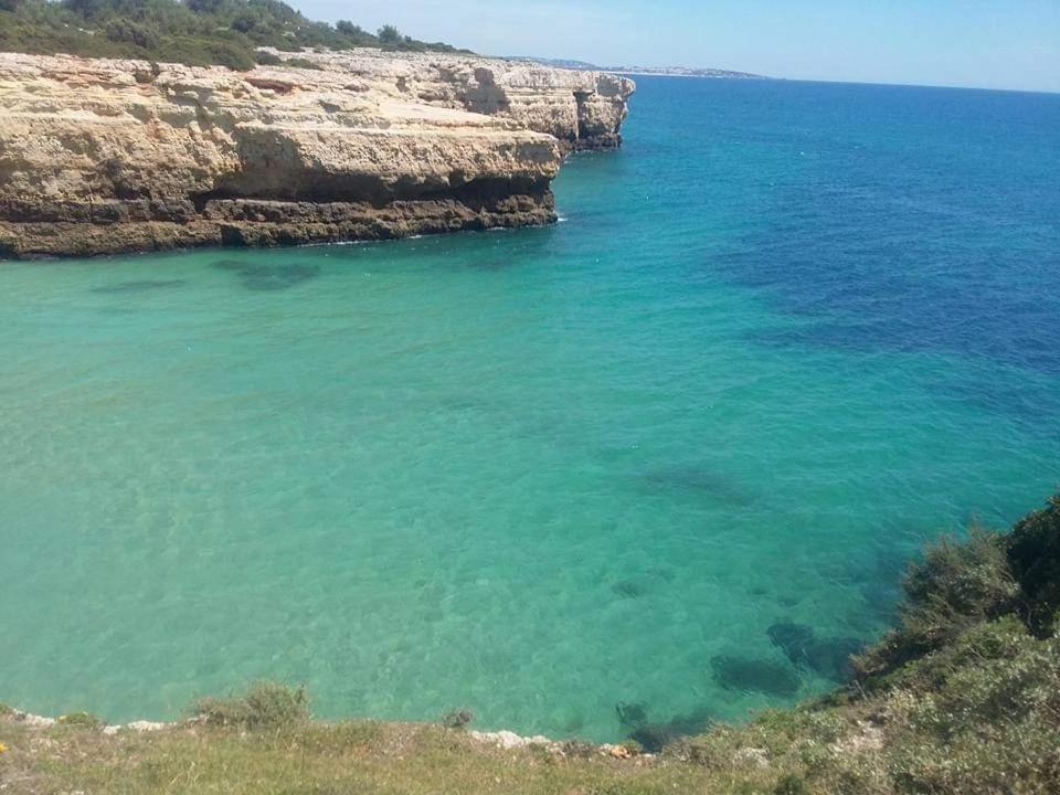 Al Algarve - Alojamento Local Com Excelente Localizacao Carvoeiro  Eksteriør billede