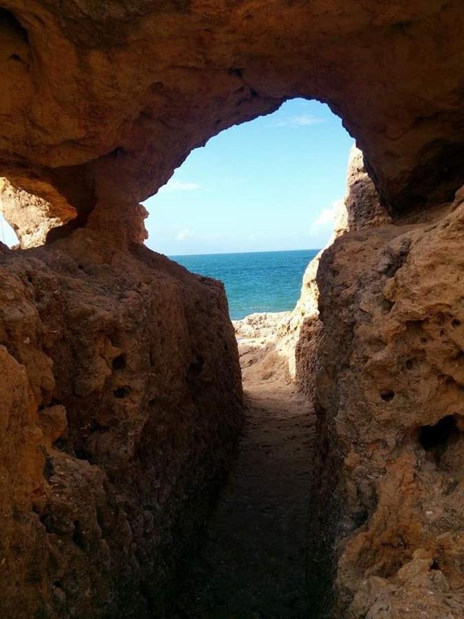 Al Algarve - Alojamento Local Com Excelente Localizacao Carvoeiro  Eksteriør billede